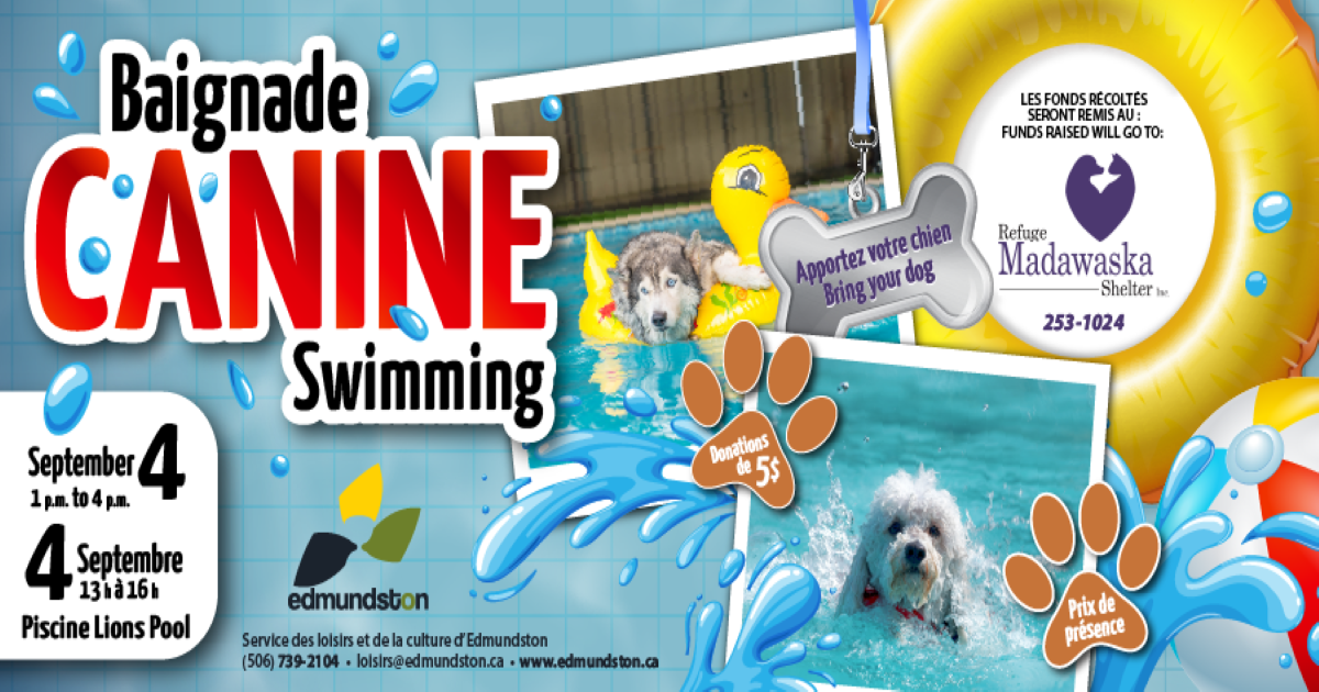 Our popular canine swim day on Sept. 4! 