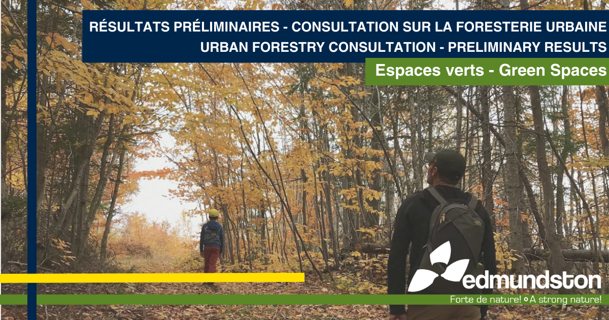 City of Edmundston's population consulted on the importance of the urban forest